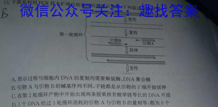 江西省重点中学盟校2024届高三第一次联考数学