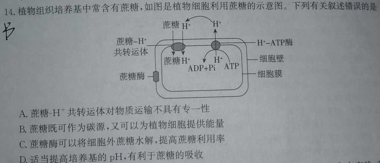 安徽省枞阳县2023-2024学年度七年级第一学期期末质量监测生物学部分