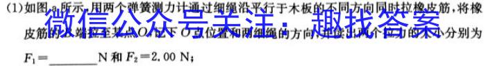 山东省潍坊市高三开学调研监测考试(2024.9)物理`