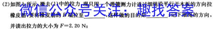 百师联盟 2024届高三冲刺卷(四)4 福建卷l物理