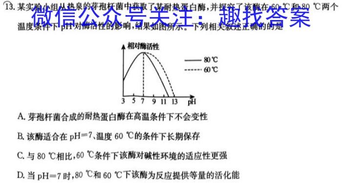 豫才教育