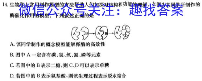 河南省伯阳中学2023~2024学年高一下学期第二次月考质量检测(241715Z)数学