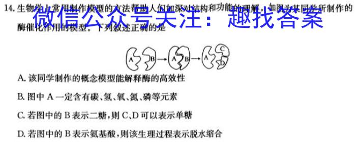 黑龙江省2023级高二上学年入学考试（8月）生物学试题答案