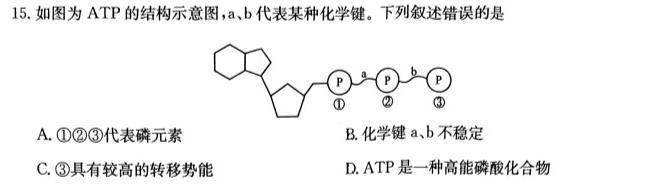 百师联盟 2024届高三冲刺卷(四)4(全国卷)生物学试题答案