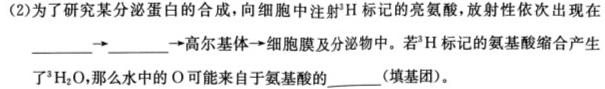 陕西省2023-2024学年度下学期学业水平检测模拟(四)4数学.考卷答案