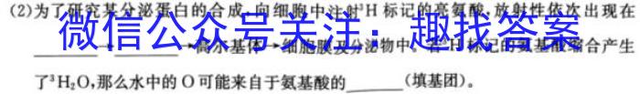 2024年河北省初中综合复习质量检测(五)数学h