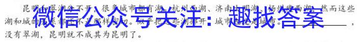 全国名校大联考 2023~2024学年高三第七次联考(月考)试卷XGK答案/语文