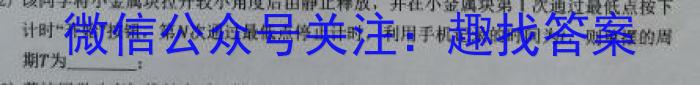 湘豫名校联考 2023-2024学年高一(上)1月阶段性考试物理试卷答案