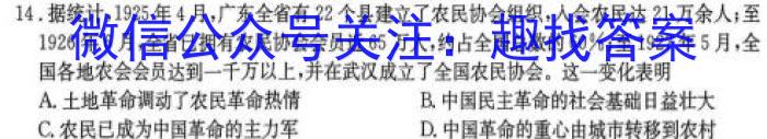 2024年普通高等学校招生全国统一考试适应性测试&政治