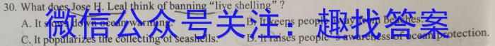 河北省2024年九年级5月模拟(六)英语试卷答案