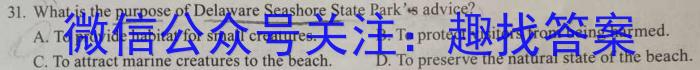 江西省2024-2025学年上学期高三九月开学考英语
