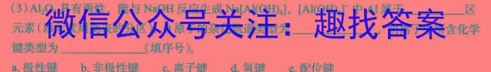 q万唯中考 2024年陕西省初中学业水平考试(白卷)化学