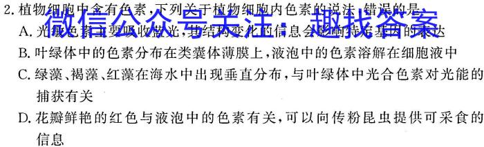 安徽省宿州市萧县某中学2023-2024学年八年级下学期6月纠错练习数学