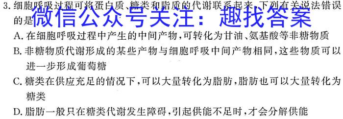 河南省2023-2024学年高二基础年级阶段性测试（期末）数学