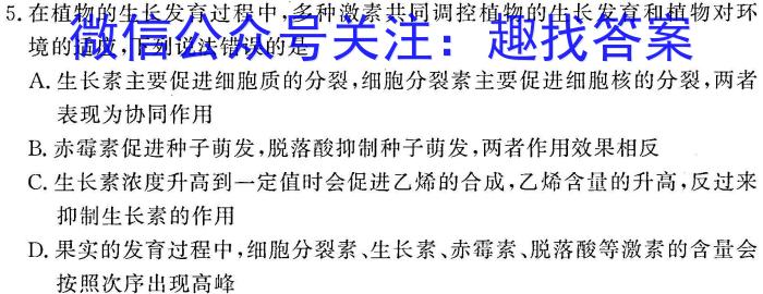 山西省晋城市沁水县2023-2024学年第一学期九年级期末试题数学