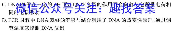 2024届衡水金卷先享题压轴卷(一)英语