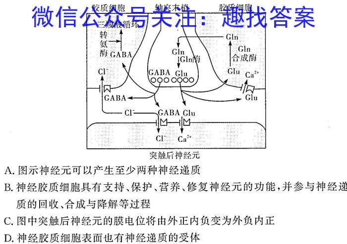 山东省2023-2024学年度高一大联考(3月)生物学试题答案