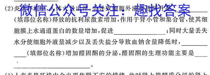 2024年湖南省初中学业水平考试模拟试卷(BEST联考三)生物学试题答案