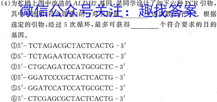 新疆维吾尔自治区2024年普通高考第一次适应性检测数学