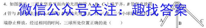 2024年河南省新高考信息卷(六)物理试卷答案