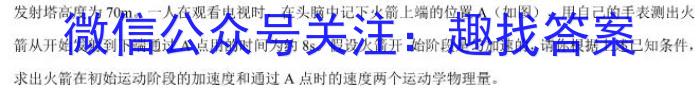 河南省2023-2024学年第二学期七年级阶段教学质量检测试卷物理试题答案