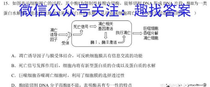 四川省2024届高考冲刺考试(三)3数学