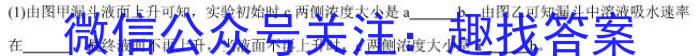 [陕西一模]2024年陕西省高三教学质量检测试题(一)1数学