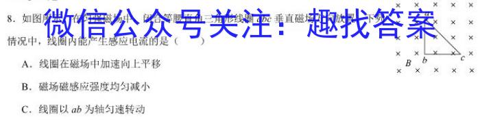 岳阳市2024年高二教学质量监测物理试卷答案