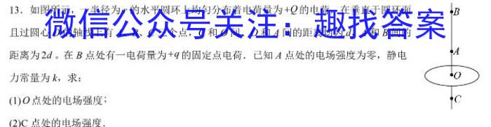 2024年河南省中招考试模拟冲刺卷（三）物理`