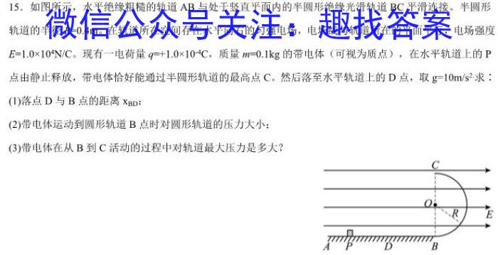 安徽省安庆市2023-2024学年度九年级正月联考综合素质调研物理试卷答案