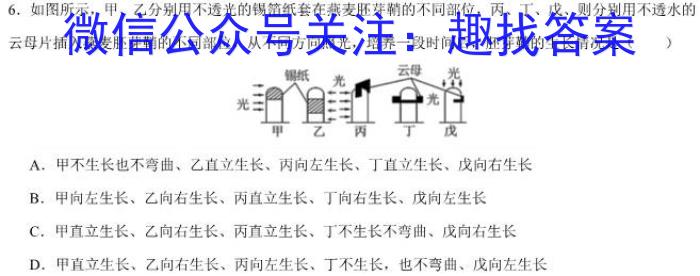 2024年山东省高一阶段性诊断测试(24-491A)数学