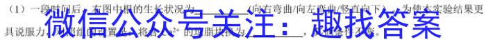 山西省2023-2024学年第二学期八年级期中质量监测试题（卷）英语