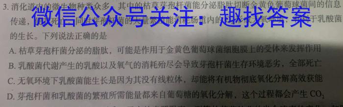 河南省沁阳市2024年九年级阶段性质量检测试卷英语
