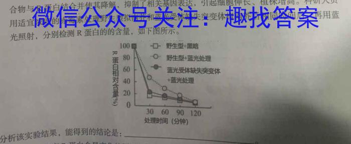 2023-2024学年安徽省八年级下学期阶段性练习数学h