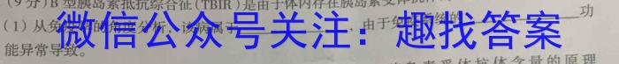 2024届高三TOP二十名校冲刺一数学