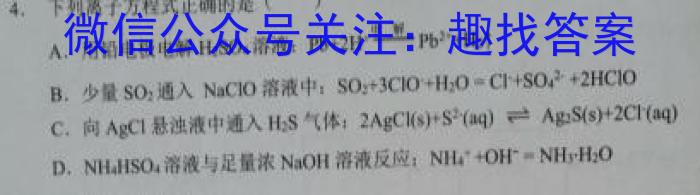 2024年陕西省初中学业水平考试全真模拟(八)8数学