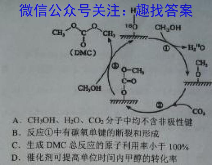 山西省2024届高三1月联考(SHX)数学