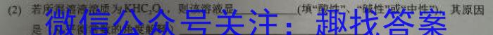 【精品】山西省2023-2024学年度八年级第二学期期中学情调研化学