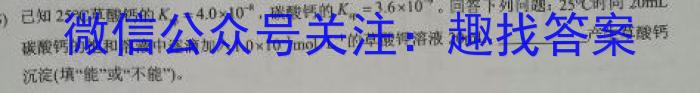 河北省沧州市2023-2024学年高二第二学期期末教学质量监测数学