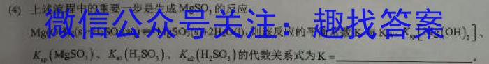 [济宁二模]2024年济宁市高考模拟考试(2024.04)数学