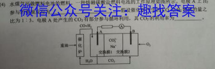 2024年安徽省初中学业水平考试押题卷(四)化学