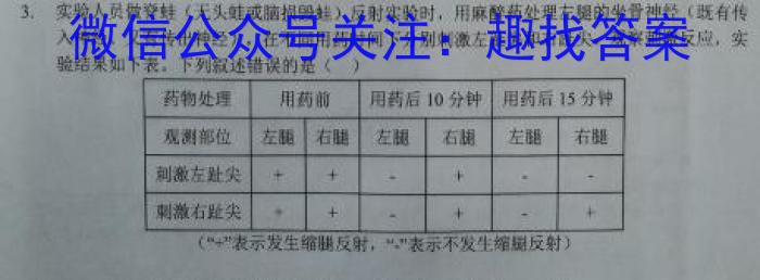 赢战高考2024高考模拟冲刺卷(五)数学