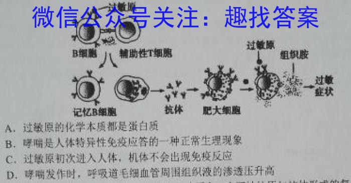 文博志鸿 2024年河北省初中毕业生升学文化课模拟考试(密卷二)生物学试题答案