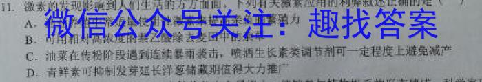 山西省2024年中考模拟示范卷 SHX(四)4数学