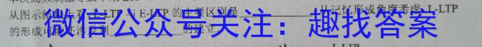 河北省承德市高中2023-2024 学年第一学期高二年级期末考试(24-287B)生物学试题答案