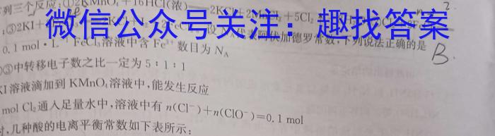 百校联赢·2024安徽名校大联考一数学