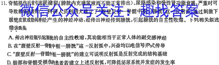 金考汇教育 贵州省名校协作体2023-2024学年高三联考(二)英语