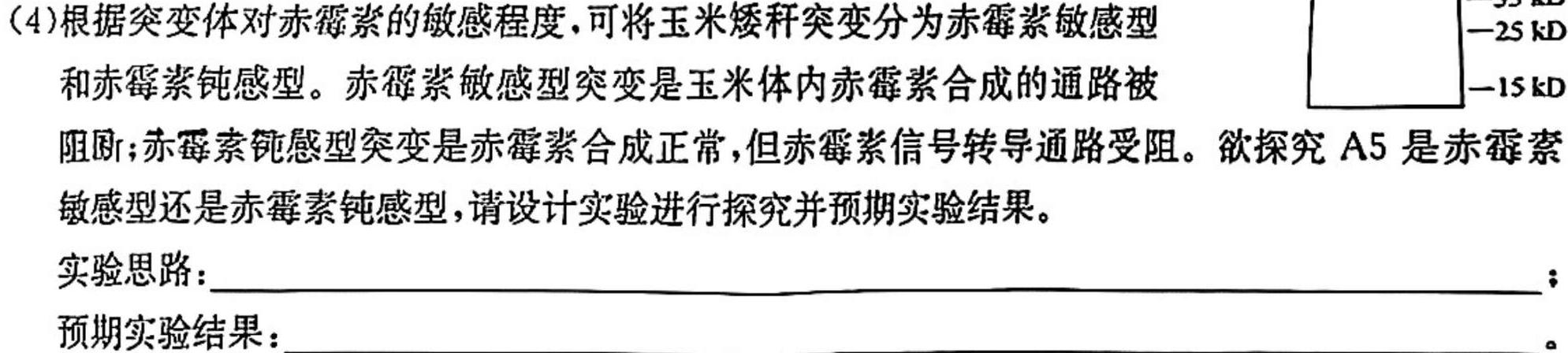 天一大联考 2023-2024学年(下)高二年级期中考试生物学部分