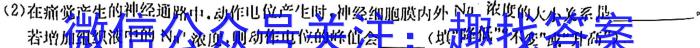 2024届新高考金卷重庆市适应卷(六)数学