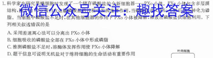 2024年山东省临沂市2021级高三普通高中学科素养水平监测试卷(2024.1)生物学试题答案